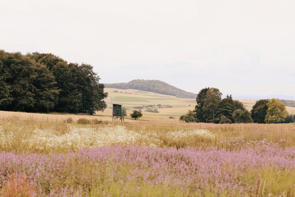 Vast rural landscape with hunting tower, fields, and trees under a clear sky.